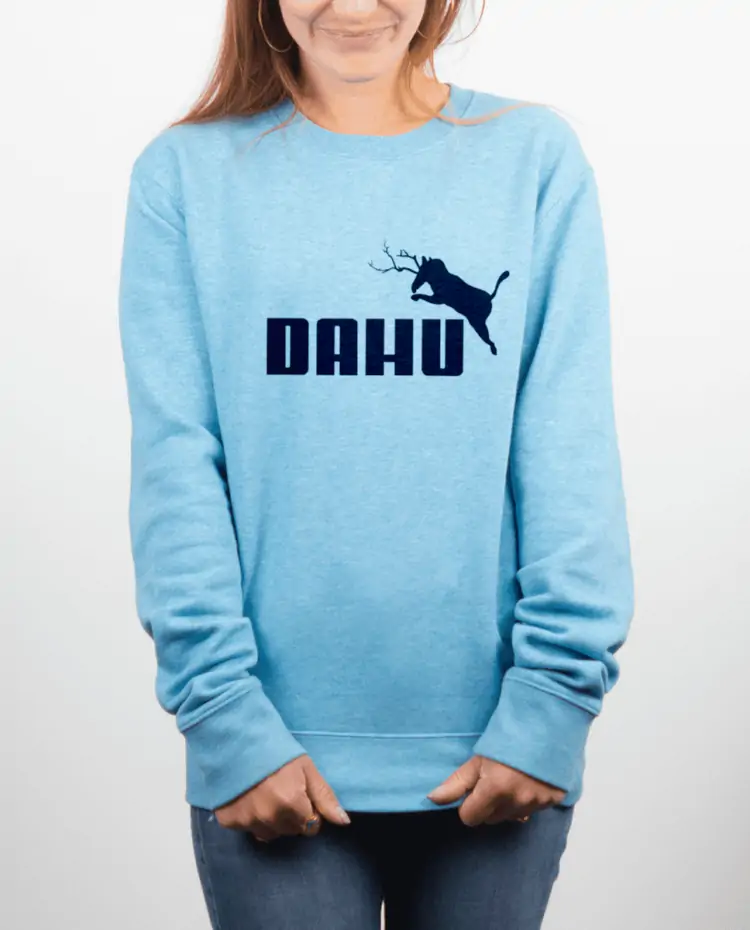 Pull Femme bleu ciel Dahu